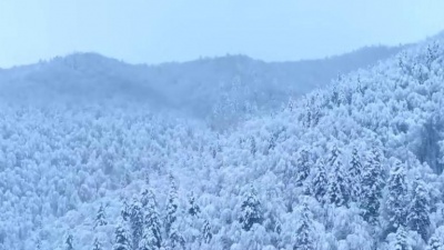徐冰 - 思念是一场雪