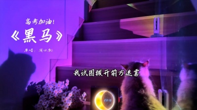 豆豆果 - 《黑马》周文凯