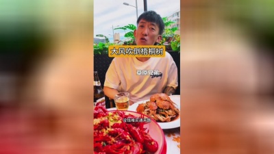 豆豆果 - 《大风吹倒梧桐树》草原兄弟