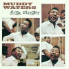Muddy Waters - My Home Is In The Delta