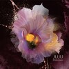 JUJU - Distance