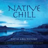 David Arkenstone - Four Winds