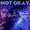 Dinka、Tania Zygar - Not Okay (Original Mix)