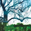 Banco de Gaia - Wimble Toot