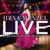 Idina Menzel - Life Of The Party