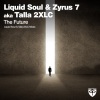 Zyrus 7、talla 2xlc、Liquid Soul - The Future (Liquid Soul Radio Edit)