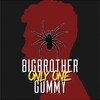 Big Brother - Only One