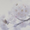 曹思义 - 23：30