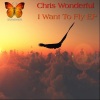 Chris Wonderful - Sky (Original Mix)