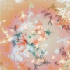 Bibio - The First Daffodils