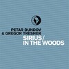 Petar Dundov、Gregor Tresher - Sirius