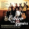 Chico & the Gypsies《Bamboleo》[MP3/LRC]