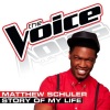 Matthew Schuler - Story of My Life (The Voice Performance)