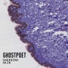 Ghostpoet - Off Peak Dreams