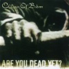 Children of Bodom - Are You Dead Yet