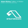 Adam Nickey、Stoneface & Terminal - Callista (Stoneface & Terminal Remix)