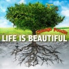 CHICAGO POODLE - Life is Beautiful
