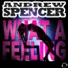 Andrew Spencer《What a Feeling (Cassey Doreen Remix Edit)》[MP3/LRC]