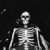 The Maine - Take What You Can Carry