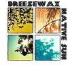 Breezewax - Promise