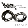 Wolfgang Gartner、will.i.am《Forever (Hook N Sling Remix)》[MP3/LRC]