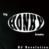 dj revolution - Beat 1 (Bpm94)