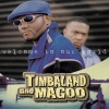 Timbaland、Magoo - Beep Beep