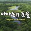 沈贤政 - Tears In The Amazon