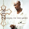 2Pac、Eminem - Soldier Like Me (Album Version|Explicit)
