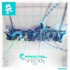Fractal - Spection