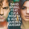 David Bisbal、Cuca Roseta - Si Aún Te Quieres Quedar