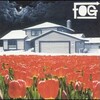 Fog - A Word of Advice