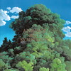 久石让 - 海の见える街