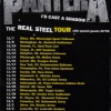 Pantera - I'll Cast A Shadow (Album Version)