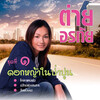 Tai Oratha - ดอกหญ้าในป่าปูน