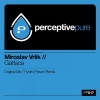 Miroslav Vrlik - Gattaca (Original Mix)