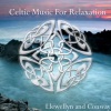 Llewellyn - Magical Earth