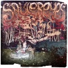 Snowmine - Saucer Eyes
