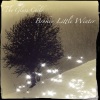 The Glass Child《Winter Song》[MP3/LRC]