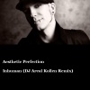 DJ Areal Kollen、Aesthetic Perfection - Aesthetic Perfection (Inhuman)