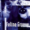 Feline Groove Label - positive 3rd