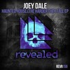 Joey Dale - Haunted House (Original Mix)