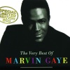 Marvin Gaye - Stubborn Kind Of Fellow