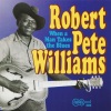 robert pete williams - When A Man Takes The Blues