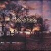 Blockhead - Intro- Hello Popartz