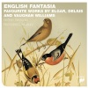 nicholas cleobury、Ralph Vaughan Williams - Fantasia on a Theme by Thomas Tallis