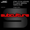 Cathy Burton、John O' Callaghan《Perfection (Shogun Remix)》[MP3/LRC]