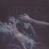 Little Joy - The Next Time Around