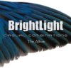 Brightlight - Latex