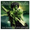 Jimi Hendrix - Love